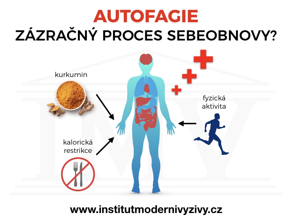 Jak se dostat do Autofagie?