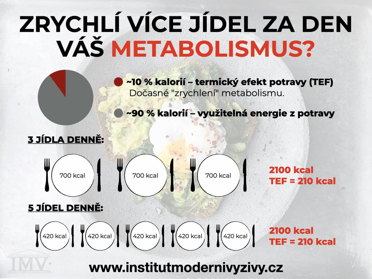 Co dělá metabolismus?